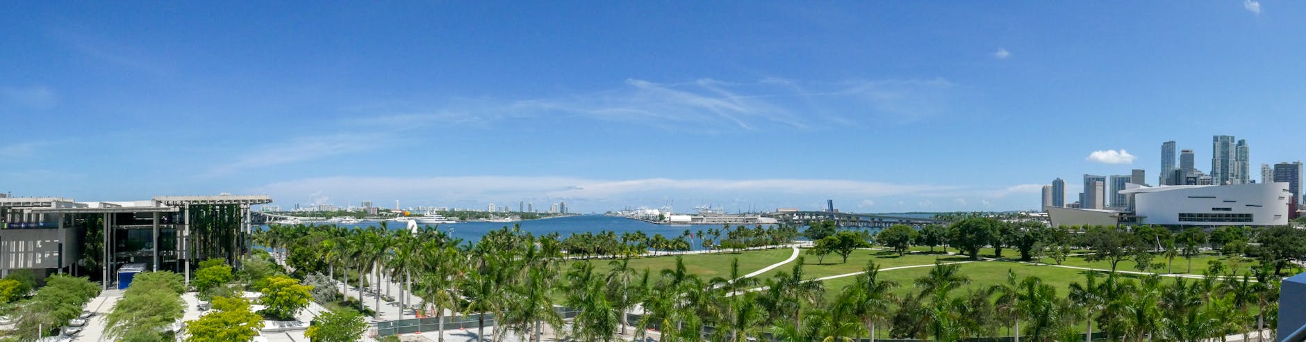 Beautiful palm-lined street in Miami, Florida